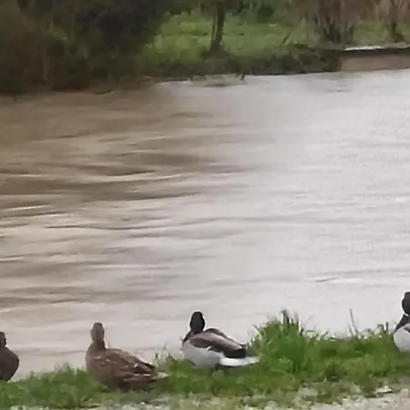 Riverside Longeville-en-Barrois