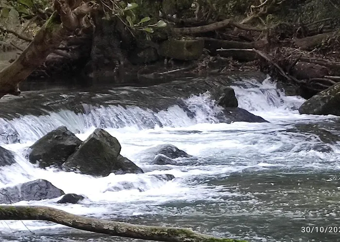 Riverside 住宿加早餐酒店 3*