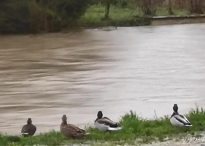 Riverside Longeville-en-Barrois